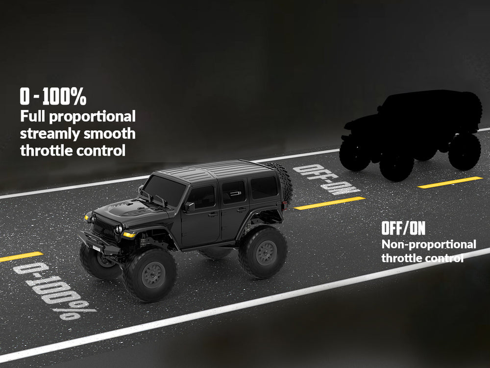 RACENT 1:24 Crawler RC Monster Truck Rock Climbing (78701 Black)